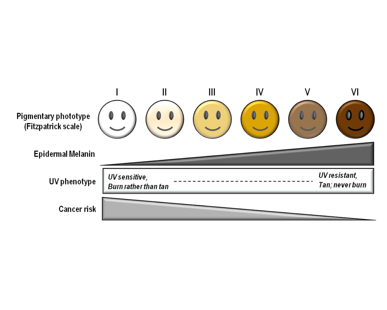 Diagram of fitzpatrick skin tone scale