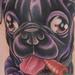 Tattoos - Pug Tattoo - 66736