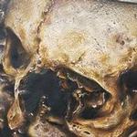Tattoos - Paris Catacombs Pencil Drawing - 117353