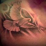 Tattoos - Black and Grey Doves - 104725
