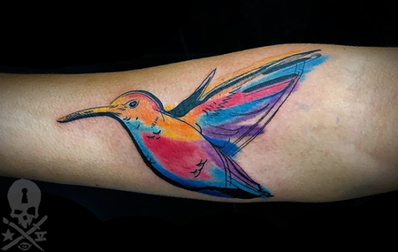 HummingBird Design Thumbnail