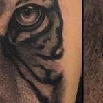 Tattoos - Tiger - 130526