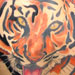 Tattoos - Tiger - 18308