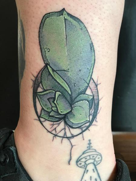 Tattoos - Propagating Succulents - 134337