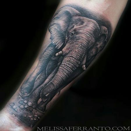 Tattoos - ELEPHANT - 121963