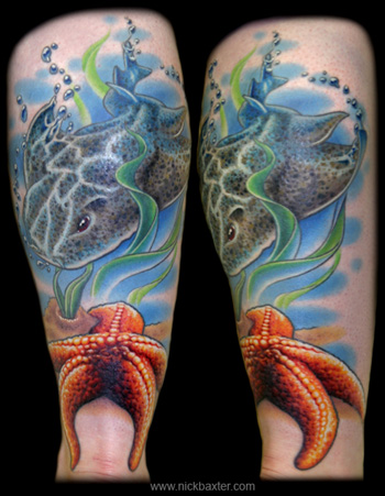 Nick Baxter - Angel Shark and Starfish