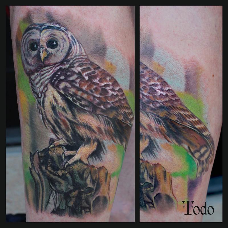 What Does An Owl Tattoo MeanIllustrated