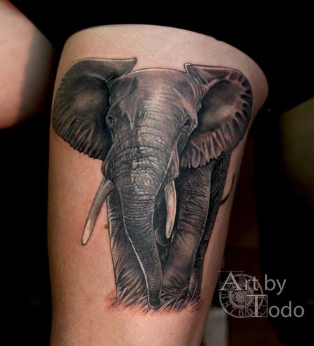 Todo - African Elephant