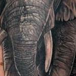 Tattoos - African Elephant - 123465