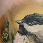 Tattoos - Chickadee  - 138320
