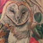 Tattoos - Owl and Roses - 123512