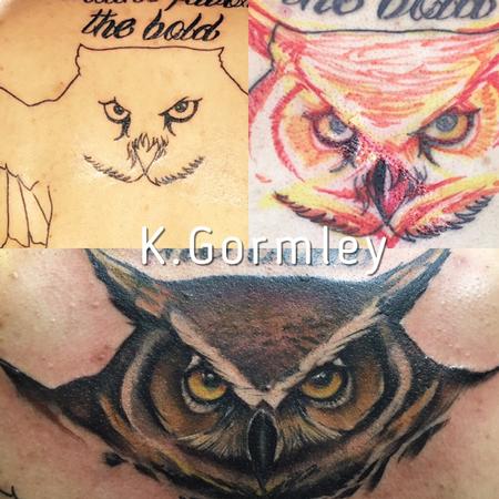 Kelly Gormley - Save the owl