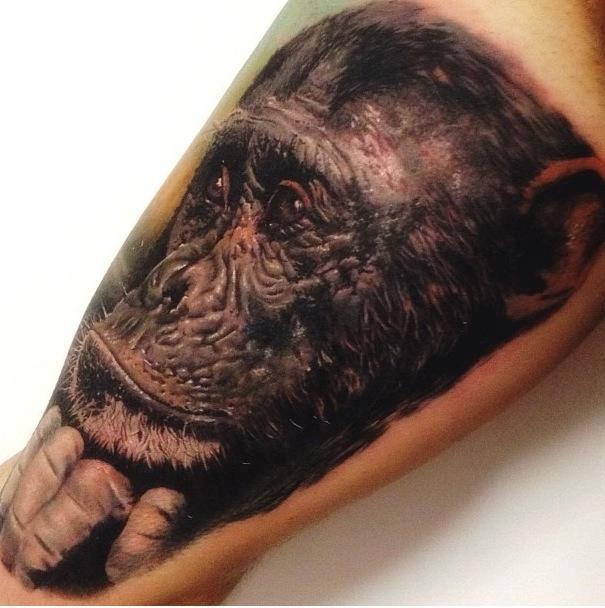 Mike DeVries  Tattoos  Realistic  Monkey Tattoo