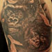 Tattoos - Alex de Pase - Monkey - 29181