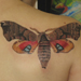 Tattoos - Butterfly. - 21710
