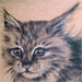Tattoos - Kitty Cat Tattoo - 25810
