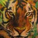 Tattoos - Tiger by Alex De Pase - 29183