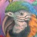 Tattoos - Exotic Birds Tattoo - 49844