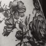 Tattoos - black works vintage botanical rose flower tattoo - 131956