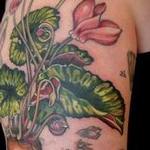 Tattoos - cyclamen flower tattoo vintage botanical - 131944