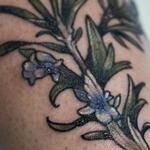 Tattoos - lavender flower tattoo - 131953