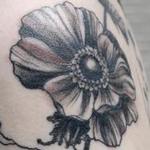 Tattoos - poppy blackworks vintage floral tattoo - 131961
