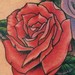 Tattoos - Red and Purple Roses tattoo - 51065