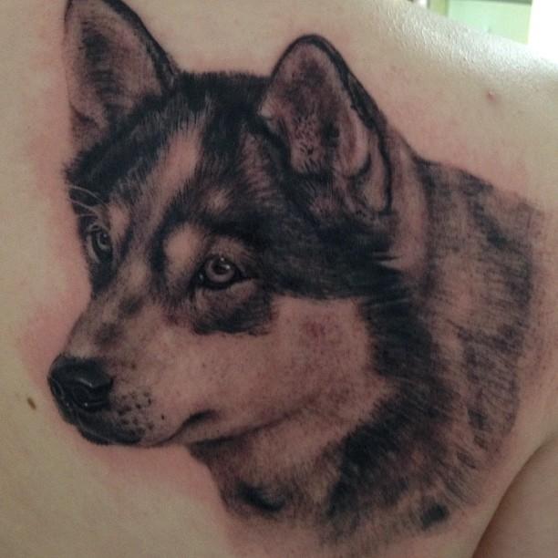 husky tattoo  Trashcan Emporium  The ThreadShed Fresh East
