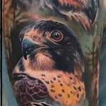 Tattoos - Birds of Prey - 117188
