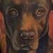 Tattoos - Hunting dog portrait half sleeve - 87066
