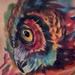 Tattoos - Owl watercolor - 94865