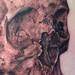 Tattoos - Skull - 67761