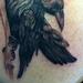 Tattoos - raven - 70582