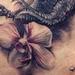 Tattoos - Dragon with flowers - 63369