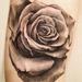 Tattoos - Rose - 63377