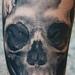 Tattoos - Healed forearm skull - 63370