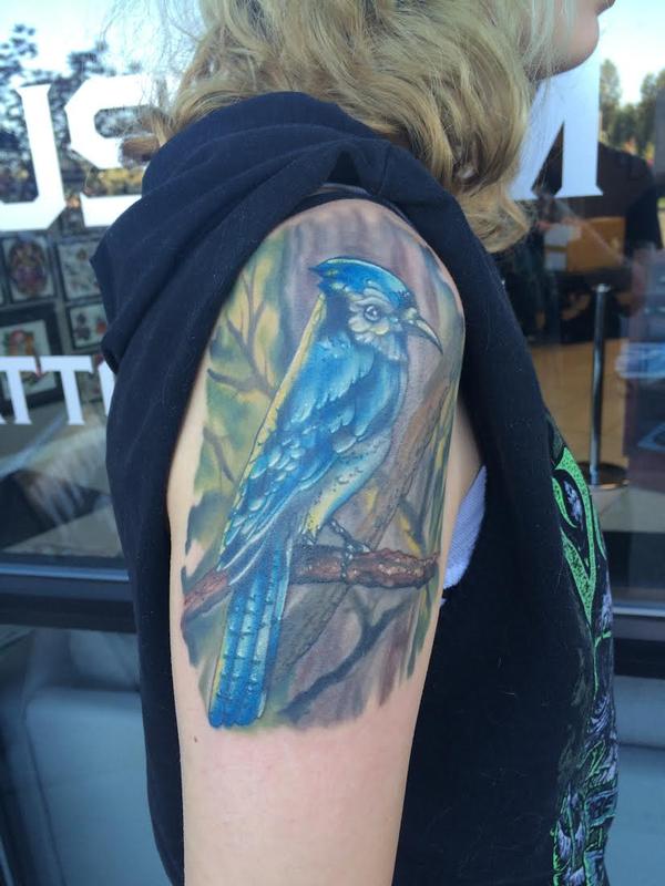 Blue Jay Healed By Brian Meier Tattoonow