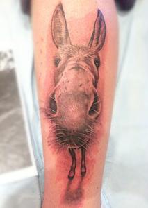 Tattoos - Photo Realistic Black and Gray Donkey Tattoo - 67651