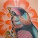 Tattoos - Bird with Mix Tape - 38929