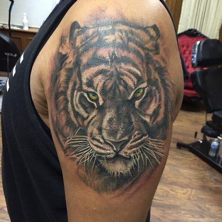 Tattoos - Black and Grey Tiger (Cover Up) with Deep-Set Green Ees  - 119169