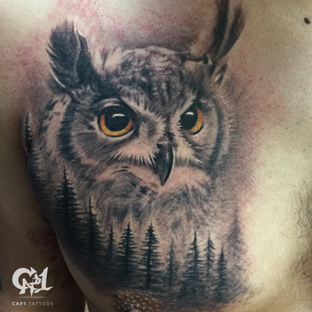 Tattoos - Realistic Owl Tattoo - 126970