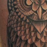 Tattoos - Deathly Hollows Owl - 126933