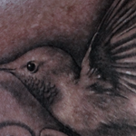 Tattoos - Hummingbird and Flowers Tattoo - 130062
