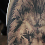 Tattoos - Realistic Lion Tattoo - 130064