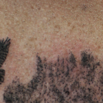 Tattoos - Olive Tree Tattoo - 129491