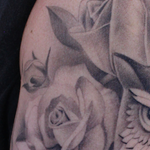 Tattoos - Roses And Owl Tattoo Sleeve - 130061