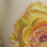 Tattoos - Realistic Color Rose Tattoo - 126646