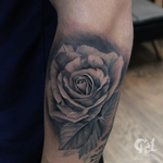 Tattoos - Photorealistic Rose Tattoo - 123163