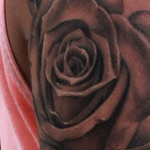 Tattoos - Rose Tattoo Sleeve - 128416