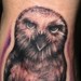 Tattoos - Owl & Pocket Watch Tattoo - 52947